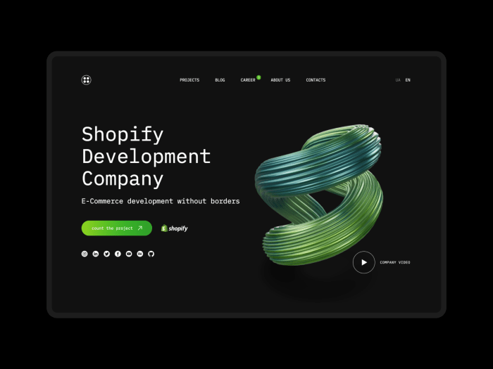 Ecommerce web developers