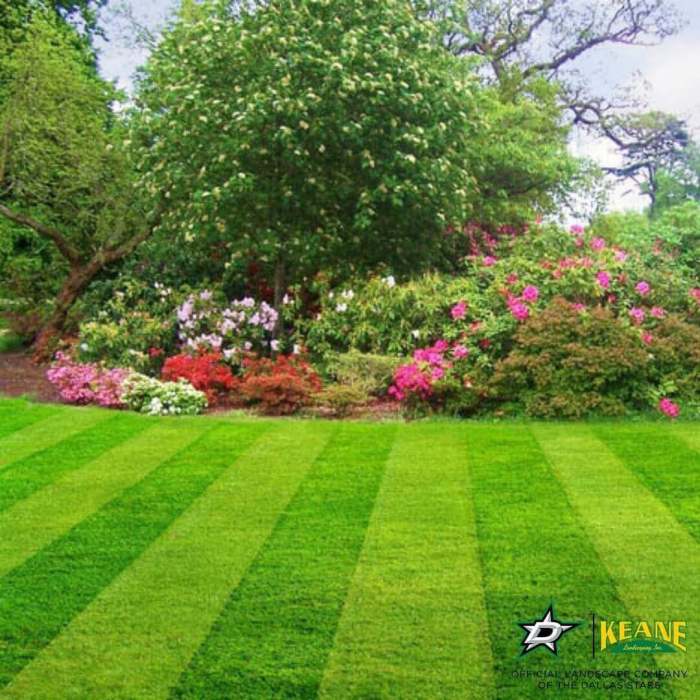 Commercial lawn care near me