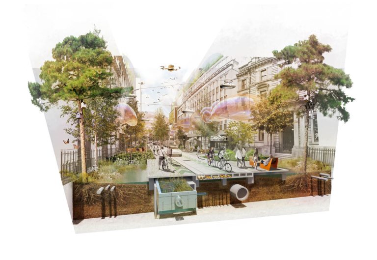 Commercial Landscape Maintenance Near Me