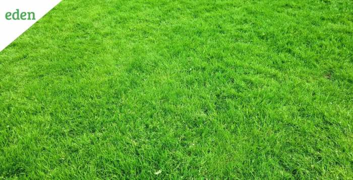 Commercial landscaping services near me