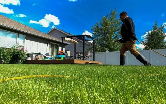 Commercial landscaping services near me