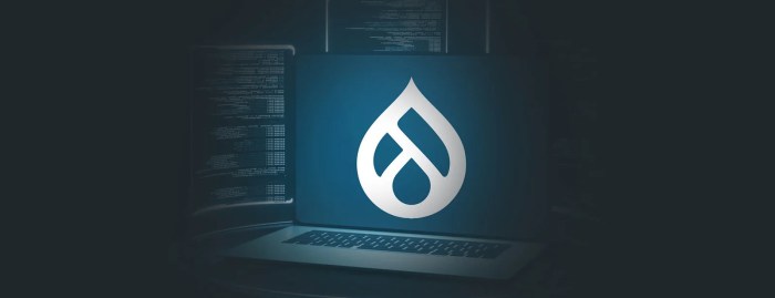Drupal development agency
