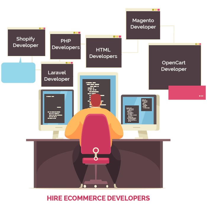 Ecommerce web developers