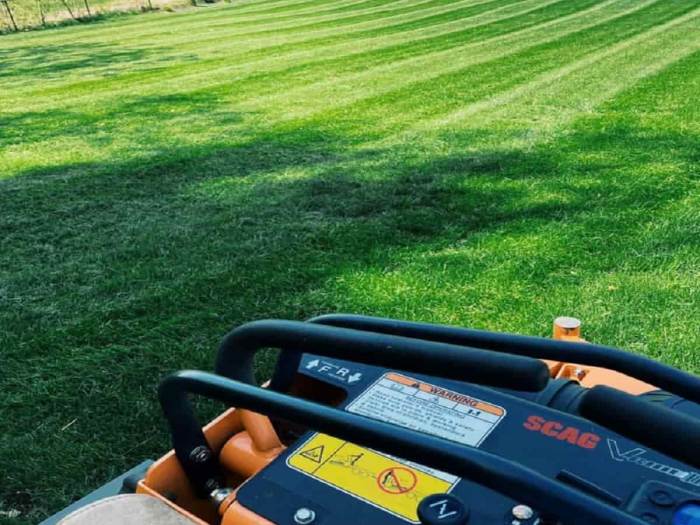 Commercial lawn care near me