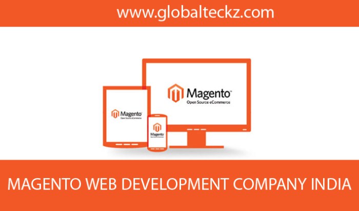 Magento developer