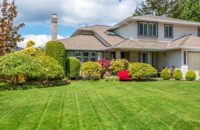 Captiva sanibel lawn contractor architectural servicing boise surrounding