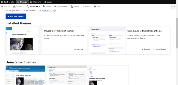 Drupal development agency