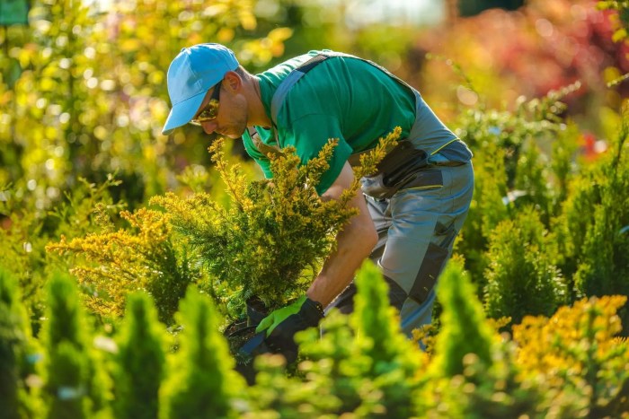 Landscaping companies near me