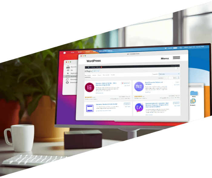 Wordpress development service services website company cms php provider