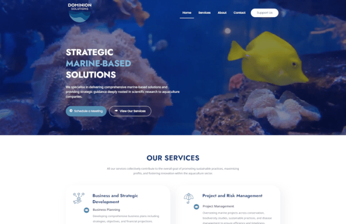 Professional website design company