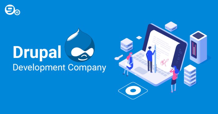 Drupal development agency