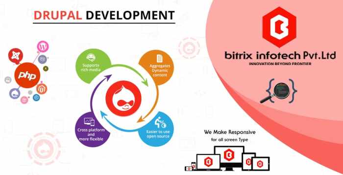 Drupal development agency