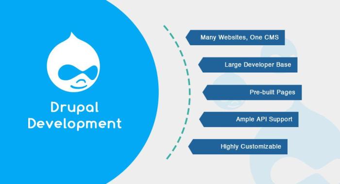 Drupal development services