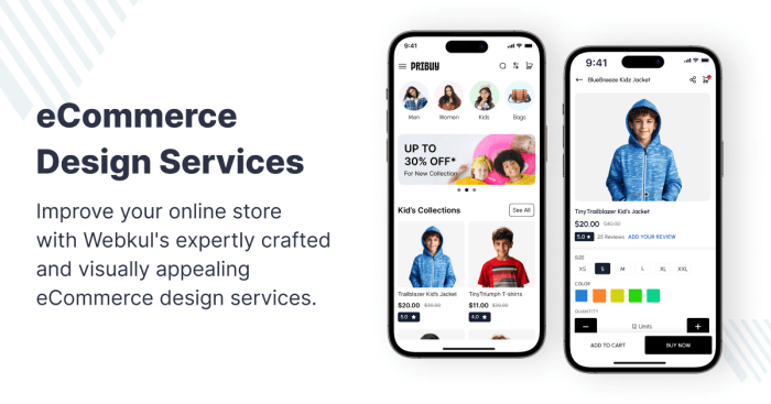 Ecommerce website design services
