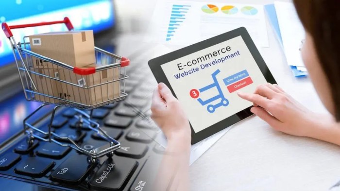 Ecommerce website development services