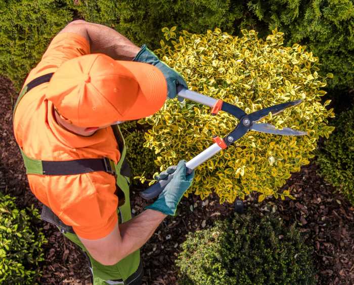 Landscape design and installation near me