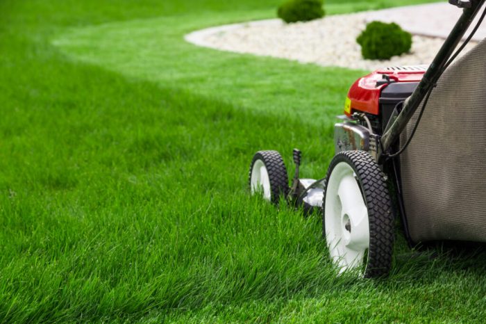 Lawn franchise bizquest