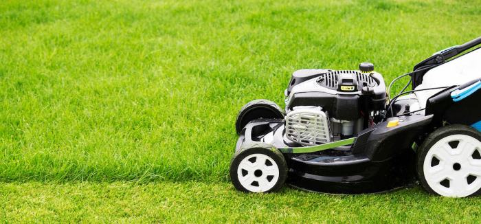 Commercial lawn care near me