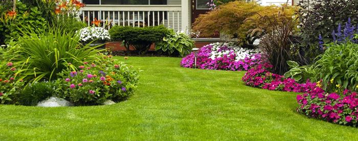 Commercial lawn care near me