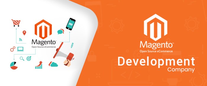 Magento website development company