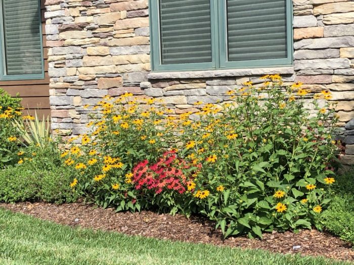 Paradise gardens landscaping