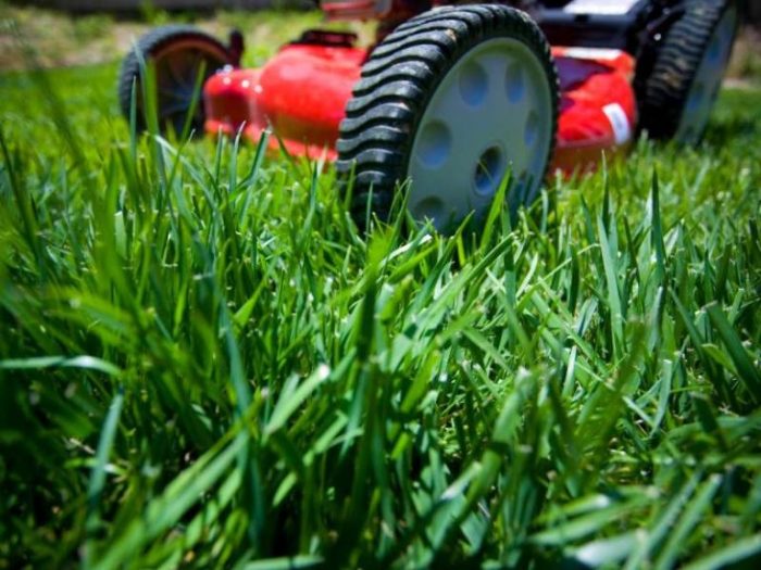 Commercial lawn care near me