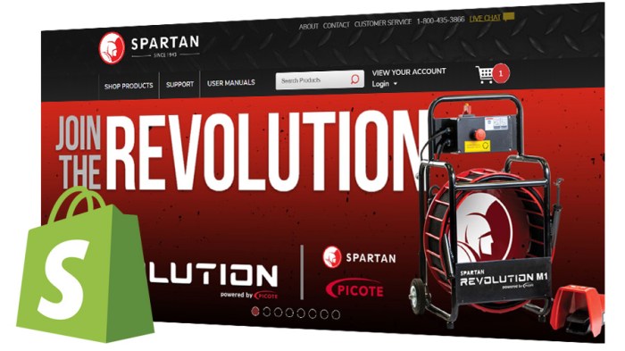 Shopify website design services