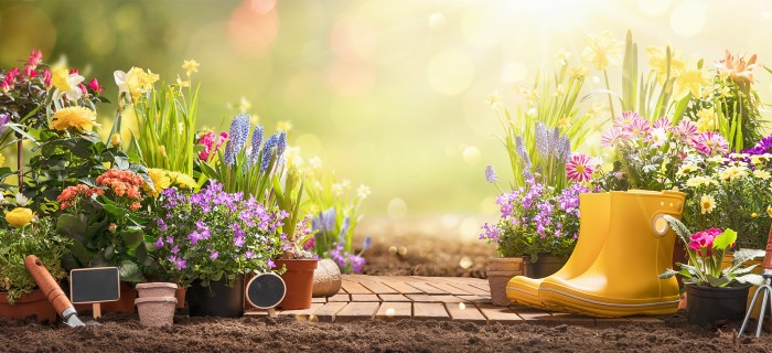 Landscapers