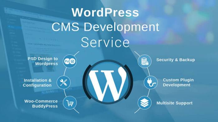 Wordpress website development company