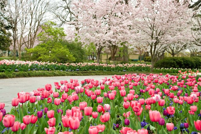 Paradise gardens landscaping