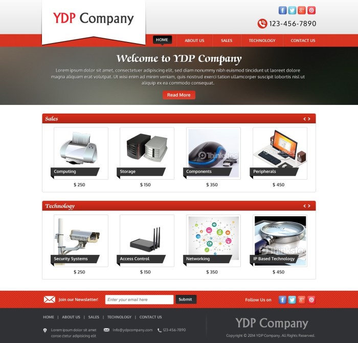 Ecommerce web design company